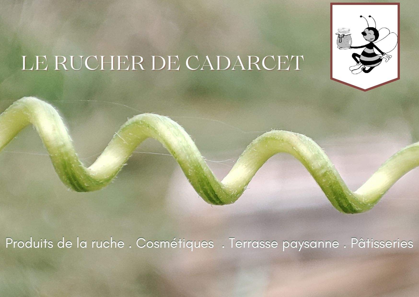 le rucher de cadarcet